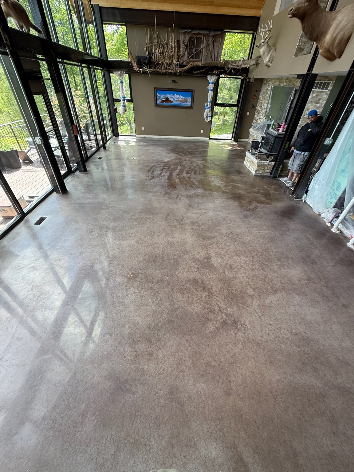 Brown decorative concrete floor finish in a Des Moines room with tall windows